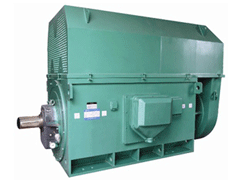 柳河Y系列6KV高压电机